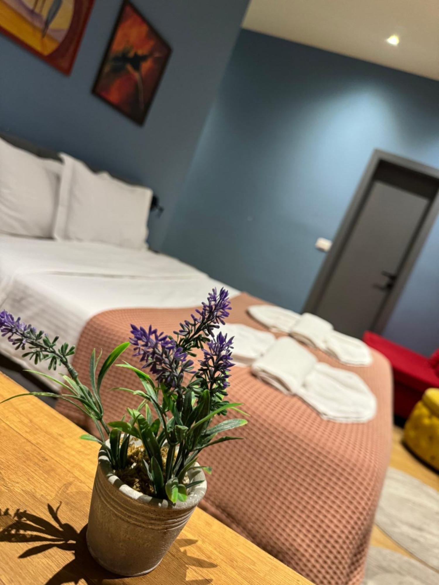 Hotel Tirona 地拉那 外观 照片